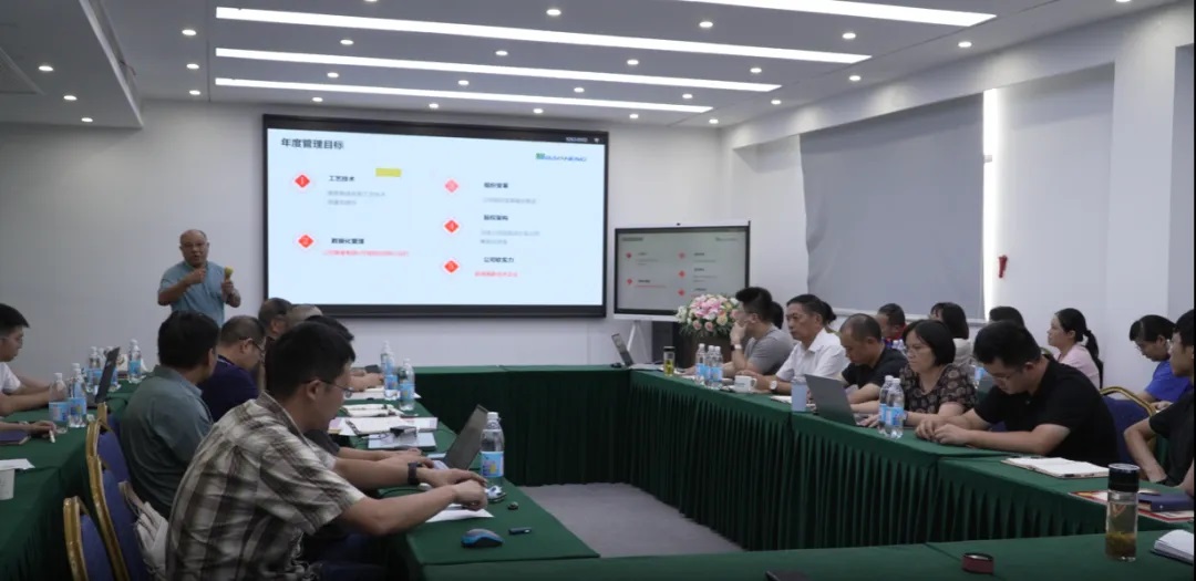 麻豆成人在线观看公司